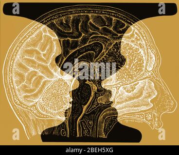 Ilustración conceptual del jarrón y cerebro Rubin Foto de stock