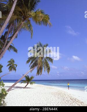 Mujer joven en la playa tropical, Kuda Bandos Island Atolón Kaafu, República de Maldivas Foto de stock