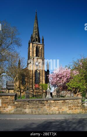 Reino Unido, South Yorkshire, Elsear, Iglesia Parroquial de la Santísima Trinidad en primavera con flor de cereza Foto de stock