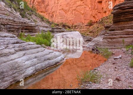 Cornisas de piedra caliza de Muav, de Cambrian pulidas en el cañón Matkatamiba, Parque Nacional del Gran Cañón, Arizona, Estados Unidos Foto de stock