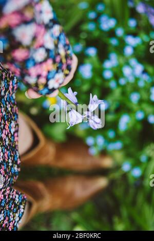 Una niña o mujer escogiendo un bluebell en un día de primavera, usando un vestido floral y botas de vaquero. Céntrese en el bluebell en la mano. Profundidad de la dof