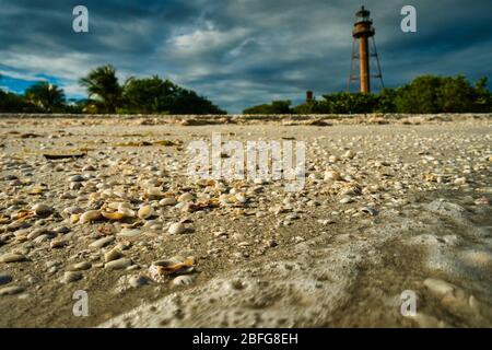 Conchas en la isla Sanibel con faro histórico y un espectacular cielo de fondo. Olas y costa de arena de Florida. No hay personas visibles. Foto de stock