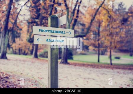 Signo rústico de madera en un parque de otoño con las palabras profesional - Amateur con flechas apuntando en direcciones opuestas en una imagen conceptual. Foto de stock
