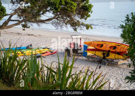 Kayaks en la playa de Hahei, Península de Coromandel, Isla Norte, Nueva Zelanda Foto de stock