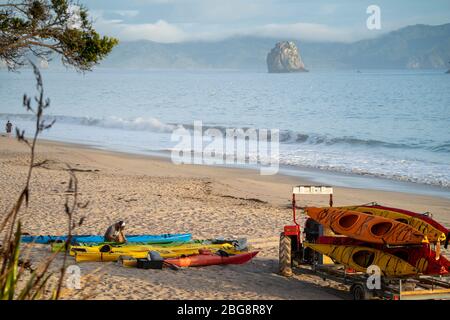 Kayaks en la playa de Hahei, Península de Coromandel, Isla Norte, Nueva Zelanda Foto de stock