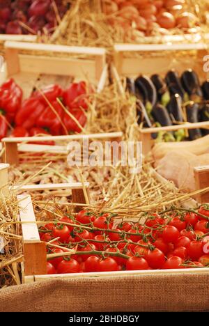 Una caja de tomates cherry en el primer plano de una muestra de frutas y verduras de producción local durante el Friuli Doc (Udine) anual de 2011 Foto de stock
