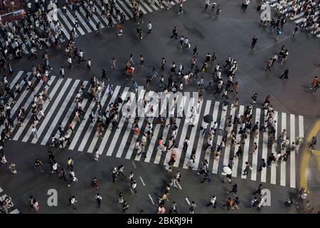 Japón, Isla Honshu, región Kanto, Tokio, distrito de Shibuya, cruce de Shibuya Foto de stock