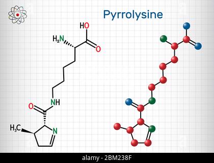 Pirrolisina, L-pirrolisina, PYL, molécula C12H21N3O3. Es aminoácido, se utiliza en la biosíntesis de proteínas. Fórmula química estructural y molécula Ilustración del Vector