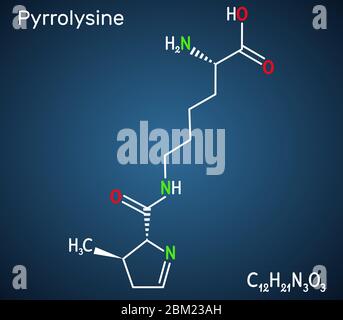 Pirrolisina, L-pirrolisina, PYL, molécula C12H21N3O3. Es aminoácido, se utiliza en la biosíntesis de proteínas. Fórmula química estructural en la oscuridad b Ilustración del Vector