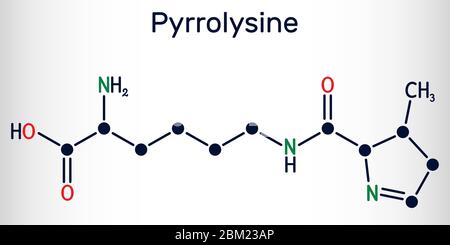 Pirrolisina, L-pirrolisina, PYL, molécula C12H21N3O3. Es aminoácido, se utiliza en la biosíntesis de proteínas. Fórmula química estructural. Vector Illus Ilustración del Vector