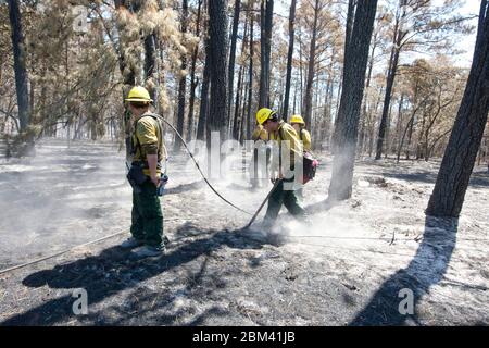 Bastrop, Texas, EE.UU., 13 de septiembre de 2011: Los bomberos que llevan equipo de protección y equipo de lucha contra incendios continúan monitoreando y apagando pequeños incendios una semana después de que los incendios forestales masivos arrasaron el área. ©Marjorie Kamys Cotera/Daemmrich Photography Foto de stock