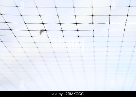 La textura de la malla metálica sobre un fondo blanco. Acero rasgado, malla  metálica con agujeros Fotografía de stock - Alamy