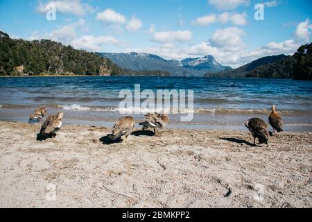 Lago Falkner, Bariloche, Patagonia, Argentina Foto de stock