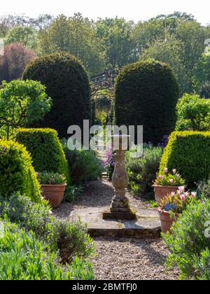 Camino reloj de sol con topiario que conduce a los arcos de escalada planta caminar en el jardín Chenies Manor en Spring.Portrait aspecto. Foto de stock