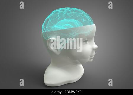 Modelo de la cabeza y el cerebro del niño. Ilustración conceptual en 3d que puede utilizarse en muchos campos de la ciencia y la medicina Foto de stock