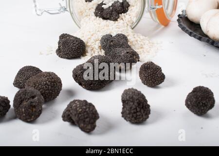 Setas silvestres, trufas, porcini, chanterielle, champignon aisladas sobre un fondo de madera blanca