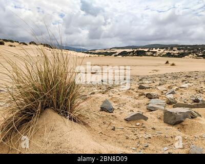 El maravilloso oasis de Piscinas, con imponentes y sinuosas dunas de fina y cálida arena dorada, considerada entre las más bellas del mundo Foto de stock