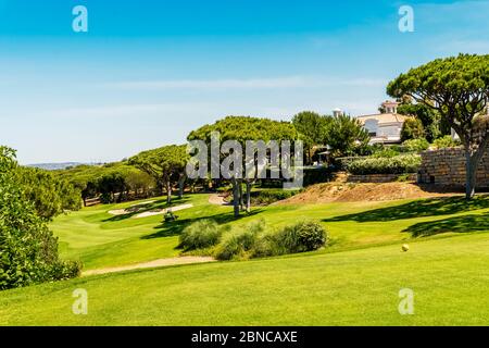 Hermoso campo de golf entre pinos en Algarve, sur de Portugal