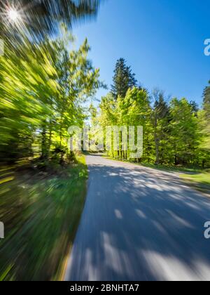 Verde bosque camino camino camino camino rápido marcha rápida conducción intencionalmente borrosa que representa la velocidad rápido movimiento rápido marcha fuera del marco del sol extremo izquierdo esquina Foto de stock