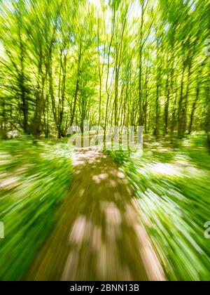 Impresionante primavera verde naturaleza color en el bosque mientras se ejecuta la carrera de sprinter simulada intencionalmente borroso sendero sendero sendero Zeleni vir Skrad Croacia Europa Foto de stock