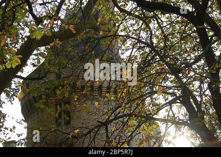 Torre del castillo francés detrás de los árboles en una escena de cuento de hadas Foto de stock