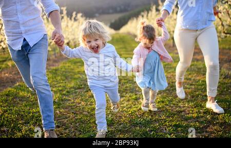 Familia con dos niños pequeños corriendo al aire libre en el huerto en primavera. Foto de stock