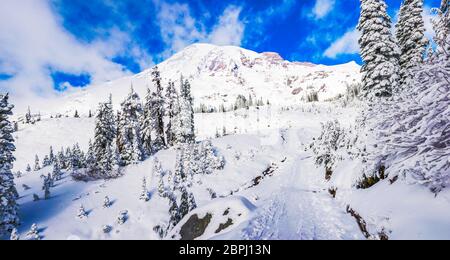 Ruta cubierta con nieve en la zona del paraíso, vista panorámica del Parque Nacional Mt Rainier, Washington, EE.UU... Foto de stock