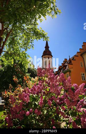 Johanniskirche Feuchtwangen es una ciudad de Baviera, Alemania, con muchas atracciones históricas Foto de stock