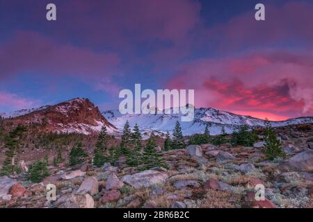 Dawn, Mount Shasta, Bosque Nacional Shasta-Trinity, California Foto de stock