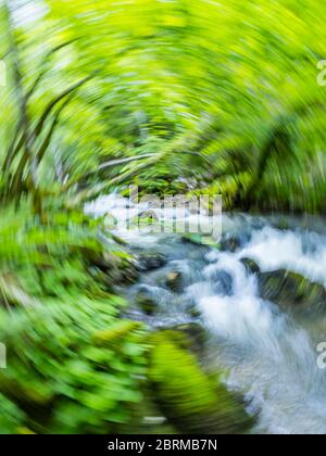 Impresionante primavera Verde naturaleza color en el bosque pequeño río Gerovcica nera Gerovo en Croacia Europa creando vértigo intencionalmente borroso Foto de stock