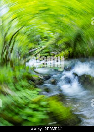 Impresionante primavera Verde naturaleza color en el bosque pequeño río Gerovcica nera Gerovo en Croacia Europa creando vértigo intencionalmente borroso Foto de stock