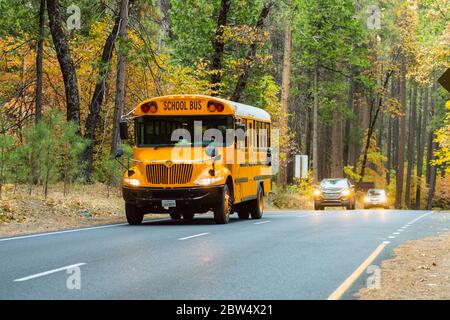 Autobús escolar en Northside Drive en el Parque Nacional Yosemite Foto de stock