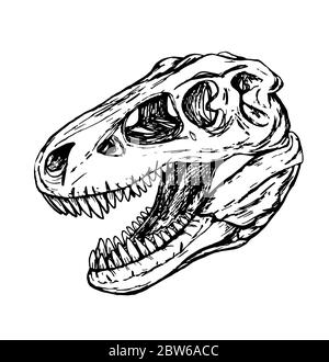 cabeza de dinosaurio de la ilustración del cráneo de la turex para el diseño y la decoración Foto de stock