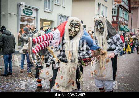 Faschingsumzug 2019 en Gerlingen / Landesnarrentreffen