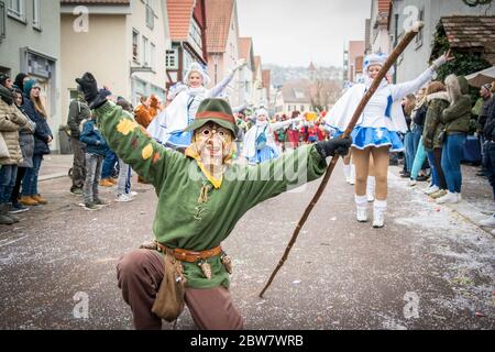 Faschingsumzug 2019 en Gerlingen / Landesnarrentreffen