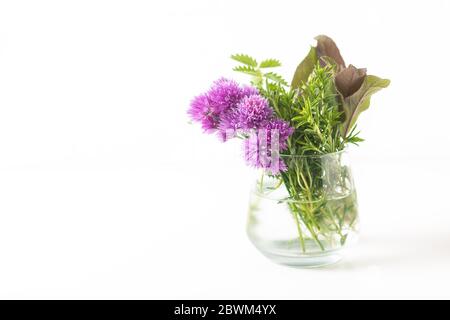 Concepto de comida herbaria flores de cebolleta y hierbas aromáticas en jarra de cristal aislado sobre fondo blanco