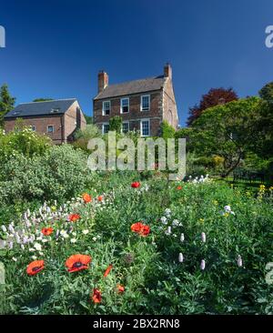 Vista diurna de verano de Crook Hall Gardens, Durham City, County Durham, Inglaterra, Reino Unido Foto de stock