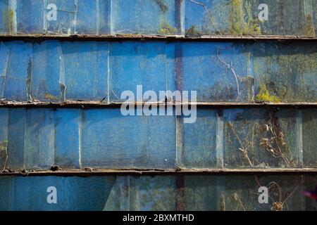 Viejo panel de vidrio con hiedra creciendo detrás y reflejando el cielo azul como fondo Foto de stock