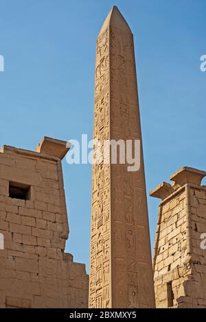Gran obelisco egipcio antiguo alto en el pilón de entrada al templo de Luxor con tallas jeroglíficas Foto de stock