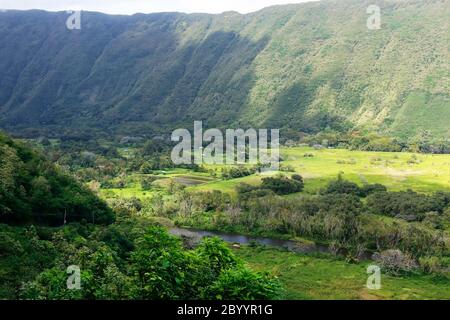 Vista aérea escénica del valle con barrio residencial entre colinas con exuberantes plantas tropicales y árboles en el valle de Waipio.