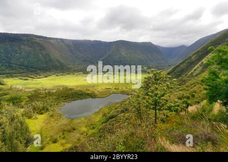 Vista panorámica del valle con estanque y barrio residencial entre colinas con exuberantes plantas tropicales y árboles en el valle de Waipio.