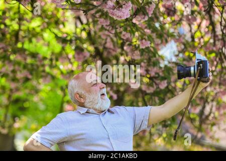 el fotógrafo toma sakura foto de flores alegres. Jardín de flores de cereza. Fotógrafo haciendo fotos de famosos cerezos en flor. Temporada de primavera con flor rosa.