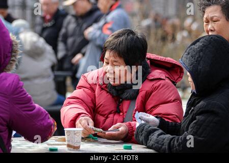 Mujeres mayores jugando a las cartas en Columbus Park of Manhattan Chinatown en Nueva York, Estados Unidos de América Foto de stock