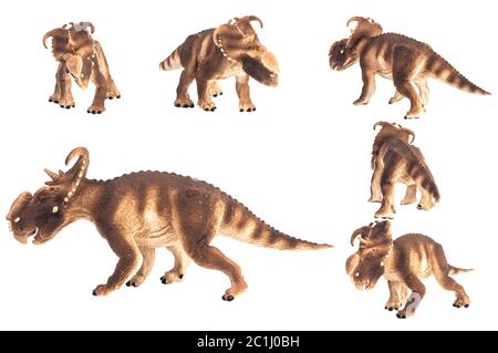 Pachyrhinosaurus Dinosaurio sobre fondo blanco . Foto de stock