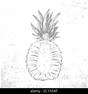 Pina Sacada A Mano Ananas Croquis De Fruta Linea Negra Ilustracion Vectorial Imagen Vector De Stock Alamy