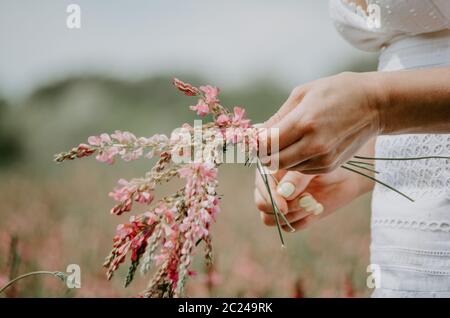 Primer plano de las manos de una mujer trenzando flores silvestres en una corona de flores Foto de stock