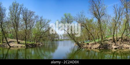 Lago en la reserva Askania-Nova en Ucrania en un soleado día de primavera Foto de stock