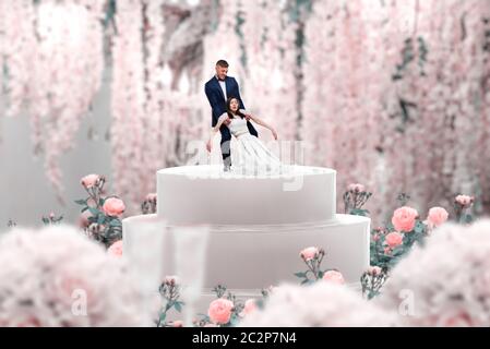 Figura novios de tarta Recién casados. Figuras para tarta