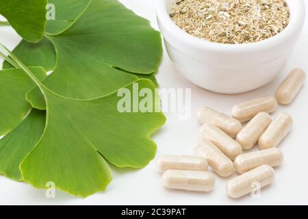 hojas de ginkgo fresco con hierba seca y cápsulas sobre fondo blanco Foto de stock