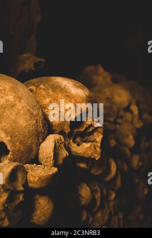 Vertical closeup tiro de los cráneos bajo las luces en las catacumbas de París, Francia Foto de stock